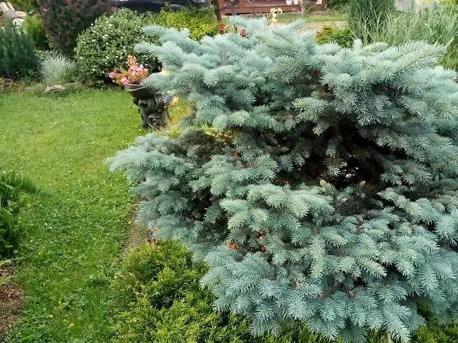 сімейна хатинка Holiday home *