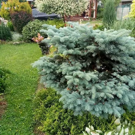 сімейна хатинка Vakantiehuis *
